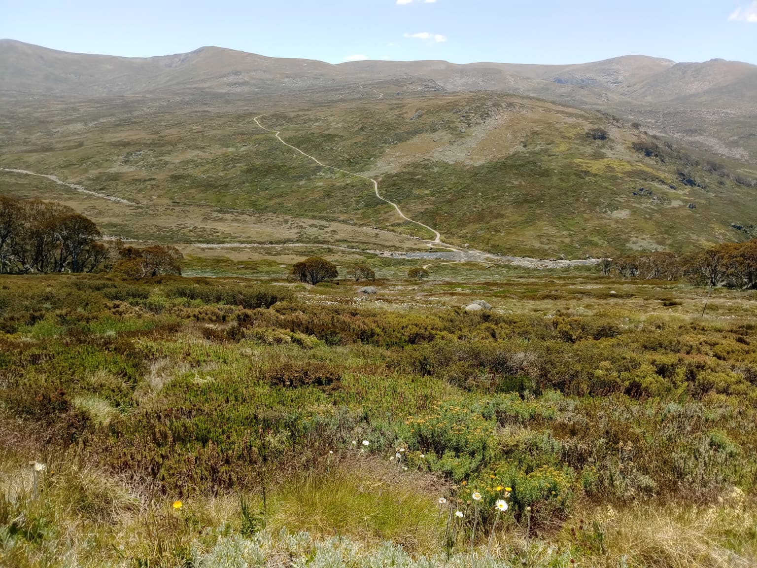 Amplia vista de un valle fluvial en el Parque Nacional Kosciuszko con montañas al fondo y terreno herboso en primer plano