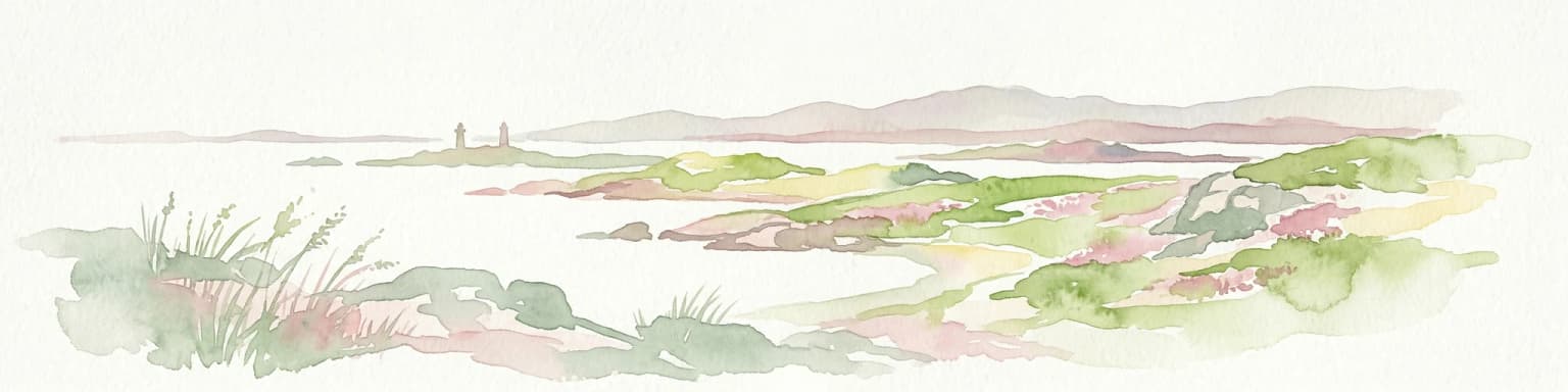 Watercolor illustration of a coastal landscape with islands, grassy areas, and water