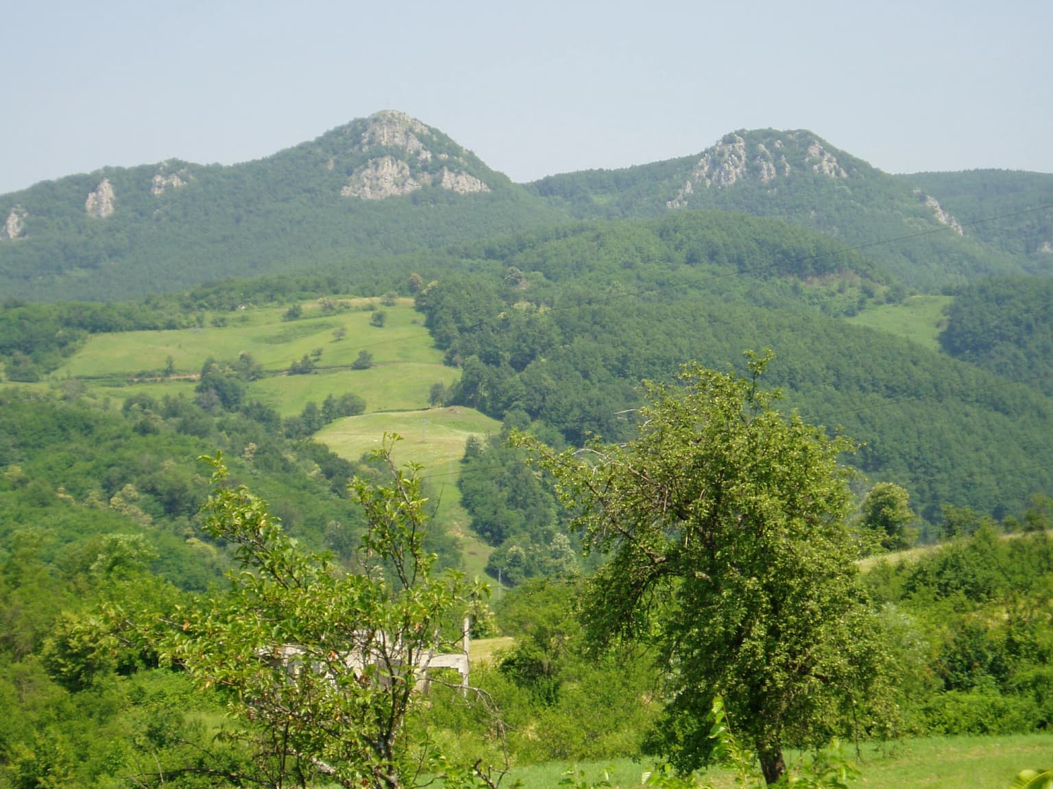 Landscape view of rolling green hills, forested mountains, and valleys under a clear sky