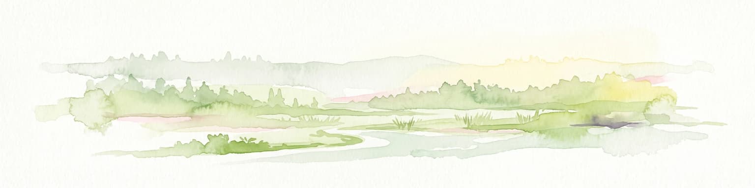 Una ilustración suave en acuarela que muestra un paisaje verde y brumoso con un arroyo serpenteante, colinas lejanas y vegetación baja sobre un fondo blanco.