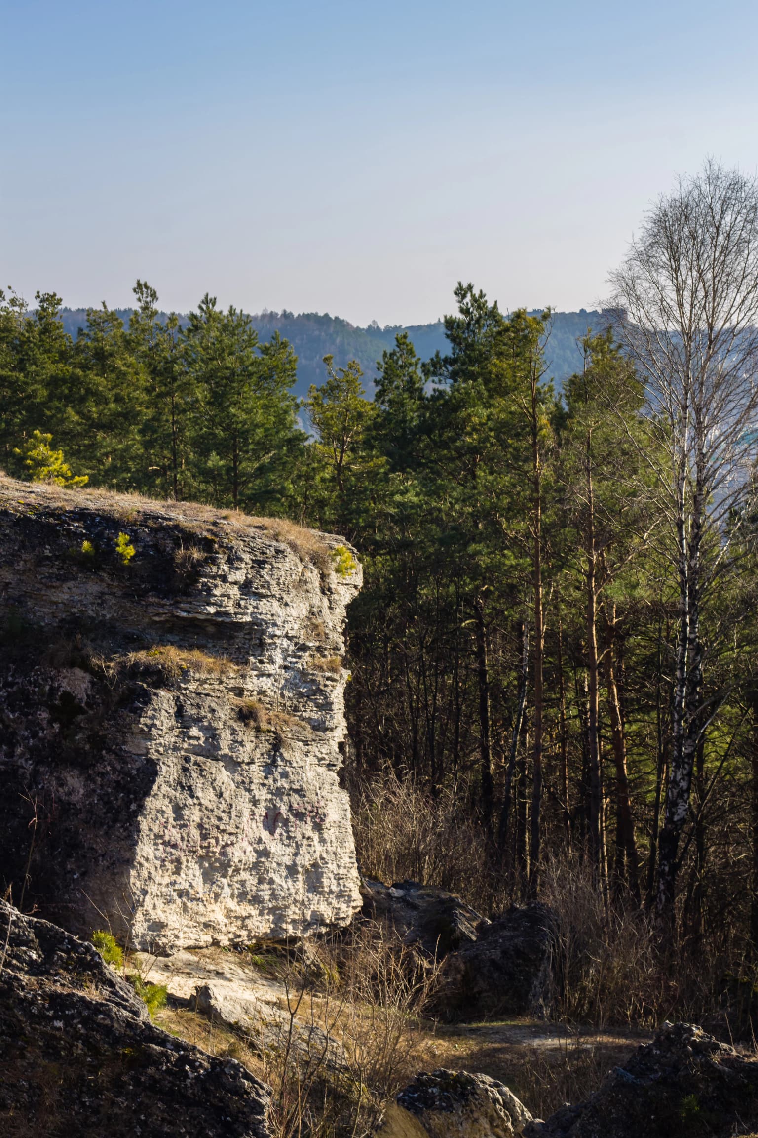 A large white rock cliff with layered sedimentary structure, surrounded by pine forest and scattered trees, with distant hills under a clear sky