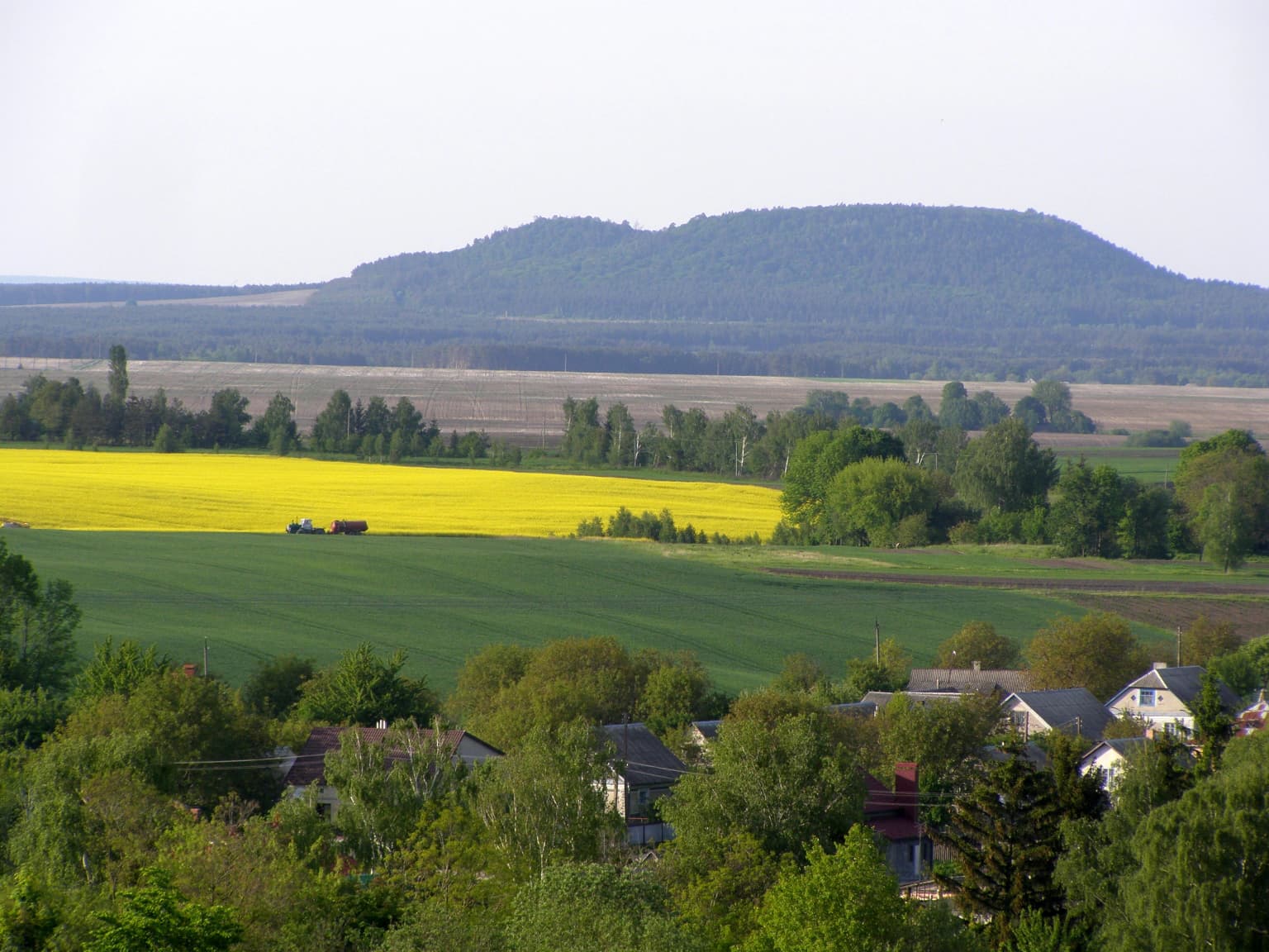 A landscape view featuring a large mountain in the background, with a yellow flowering field, green agricultural fields, and residential houses surrounded by trees in the foreground