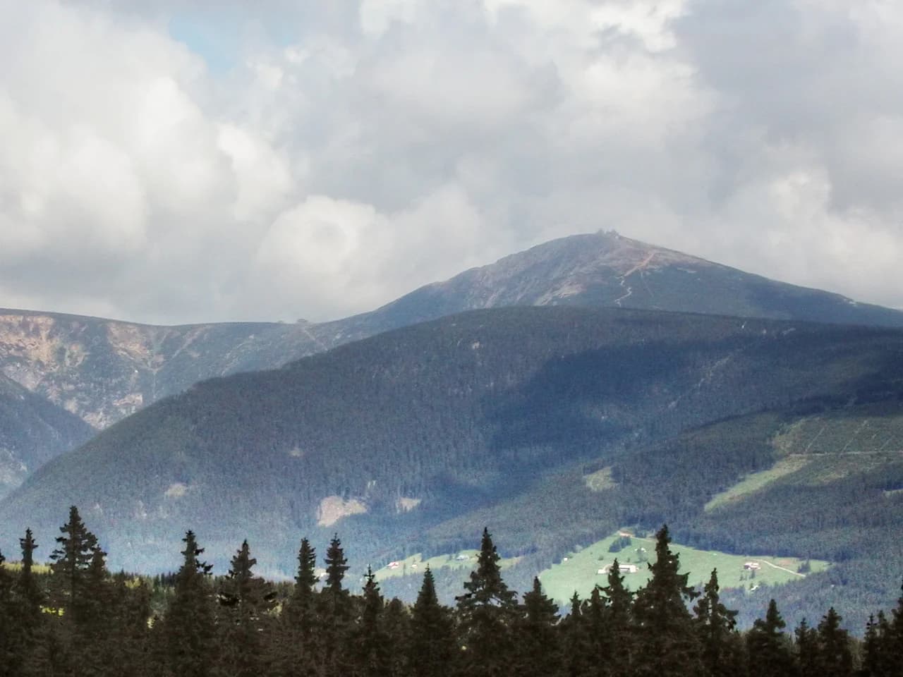 Mountain range with Sněžka peak under cloudy sky, forested slopes, and pine trees in foreground