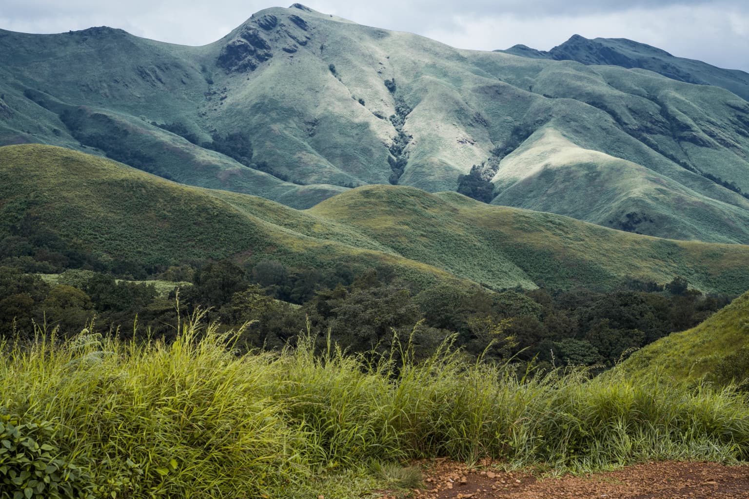 Colinas cubiertas de hierba y montañas boscosas bajo un cielo parcialmente nublado en el Parque Nacional de Kudremukh.