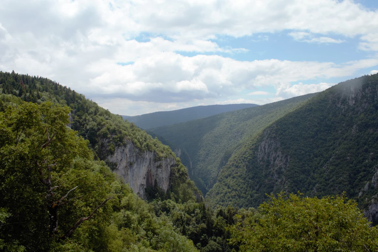 Panoramic view of a deep green canyon with steep rocky cliffs and lush forest under a partly cloudy sky.