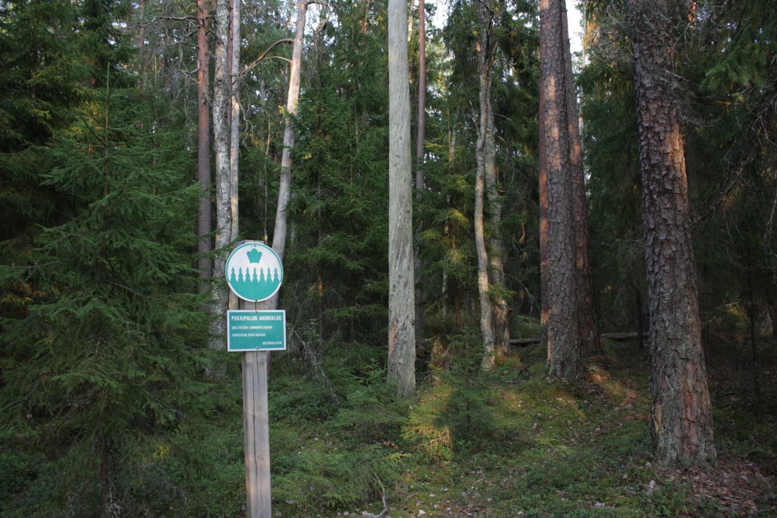 Green park sign with white text and logo on wooden post surrounded by tall trees and forest undergrowth