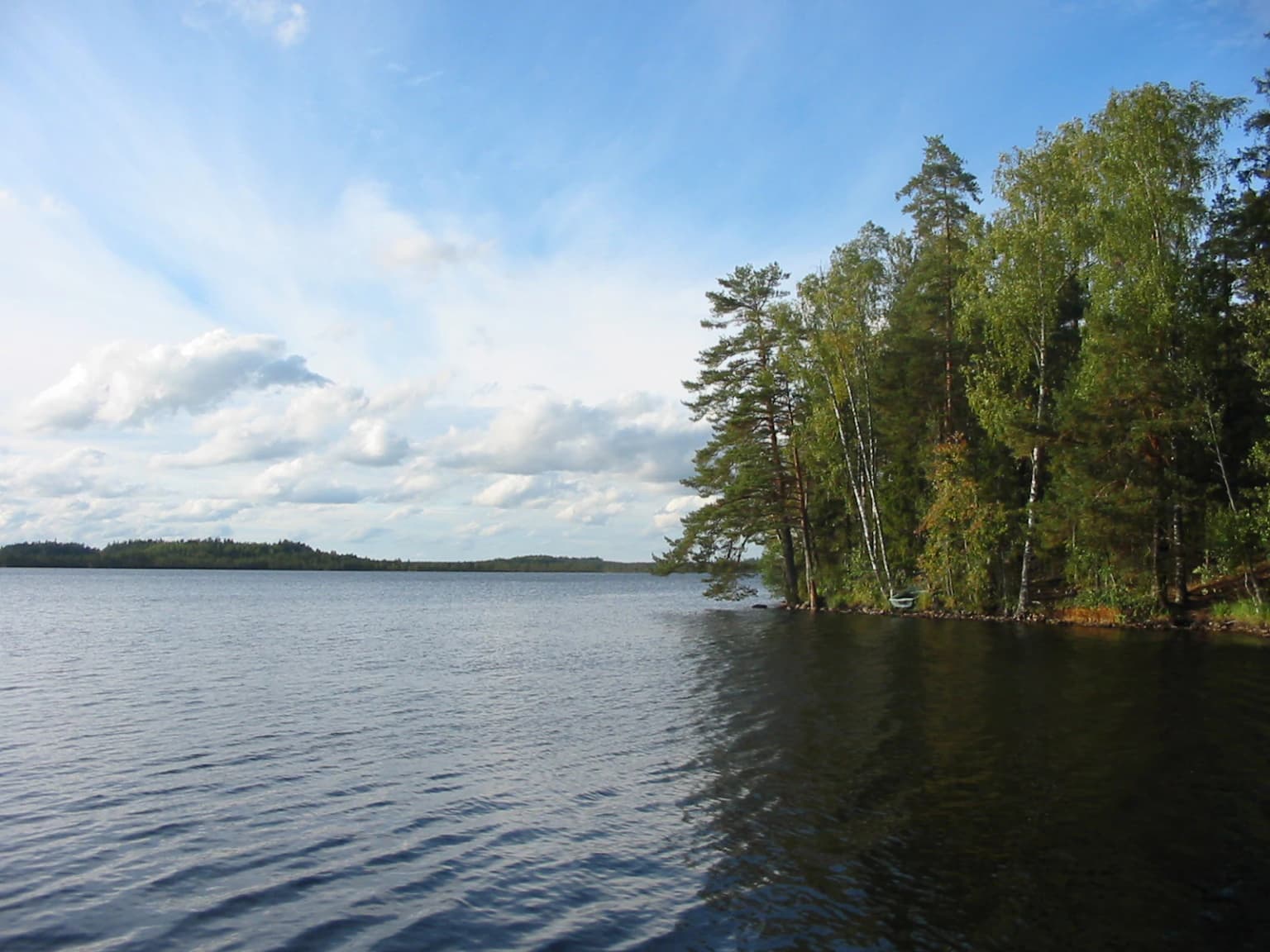 Calm lake with rippled water reflecting blue sky and clouds, bordered by dense coniferous forest on the right shore