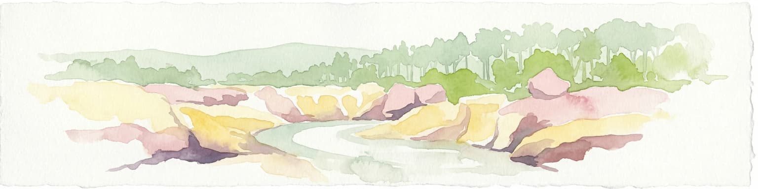 Pintura de acuarela de un río que fluye entre acantilados rocosos con un bosque al fondo