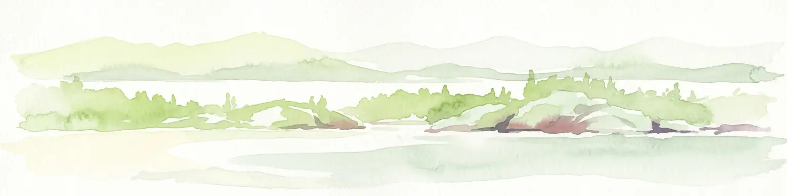 A soft, pale green and blue watercolor illustration showing several rocky islands with sparse vegetation surrounded by water, with faint hills in the background.