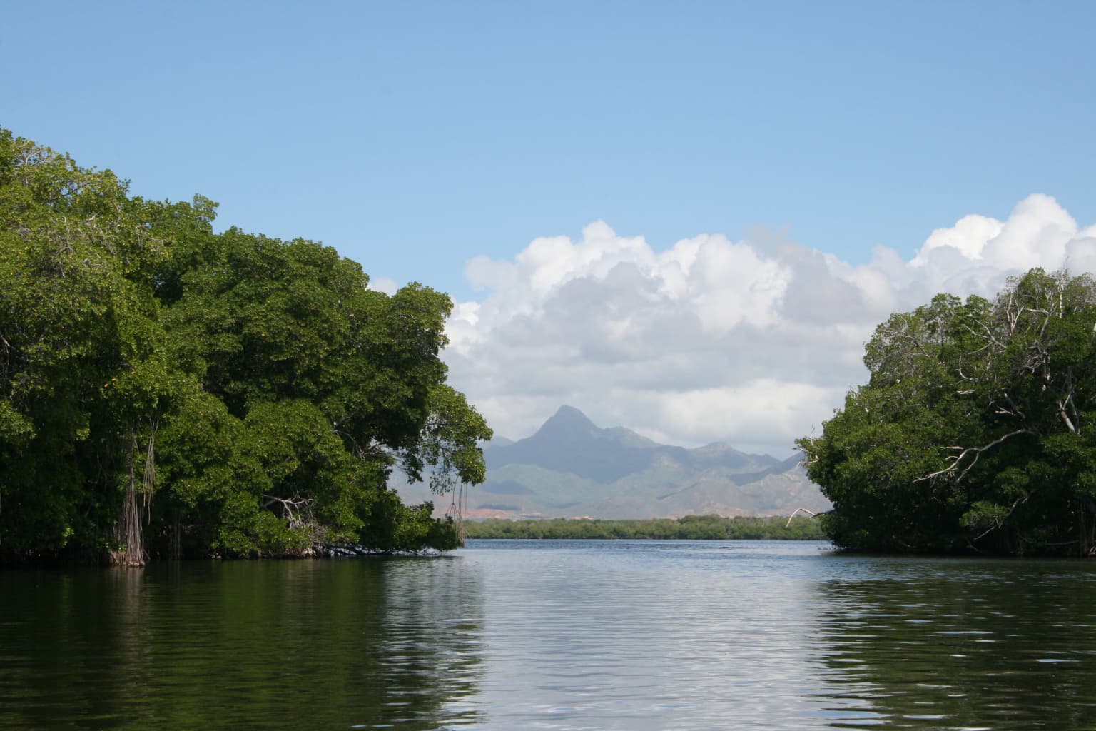 Aguas tranquilas de laguna rodeadas de densos manglares con montañas al fondo bajo un cielo parcialmente nublado
