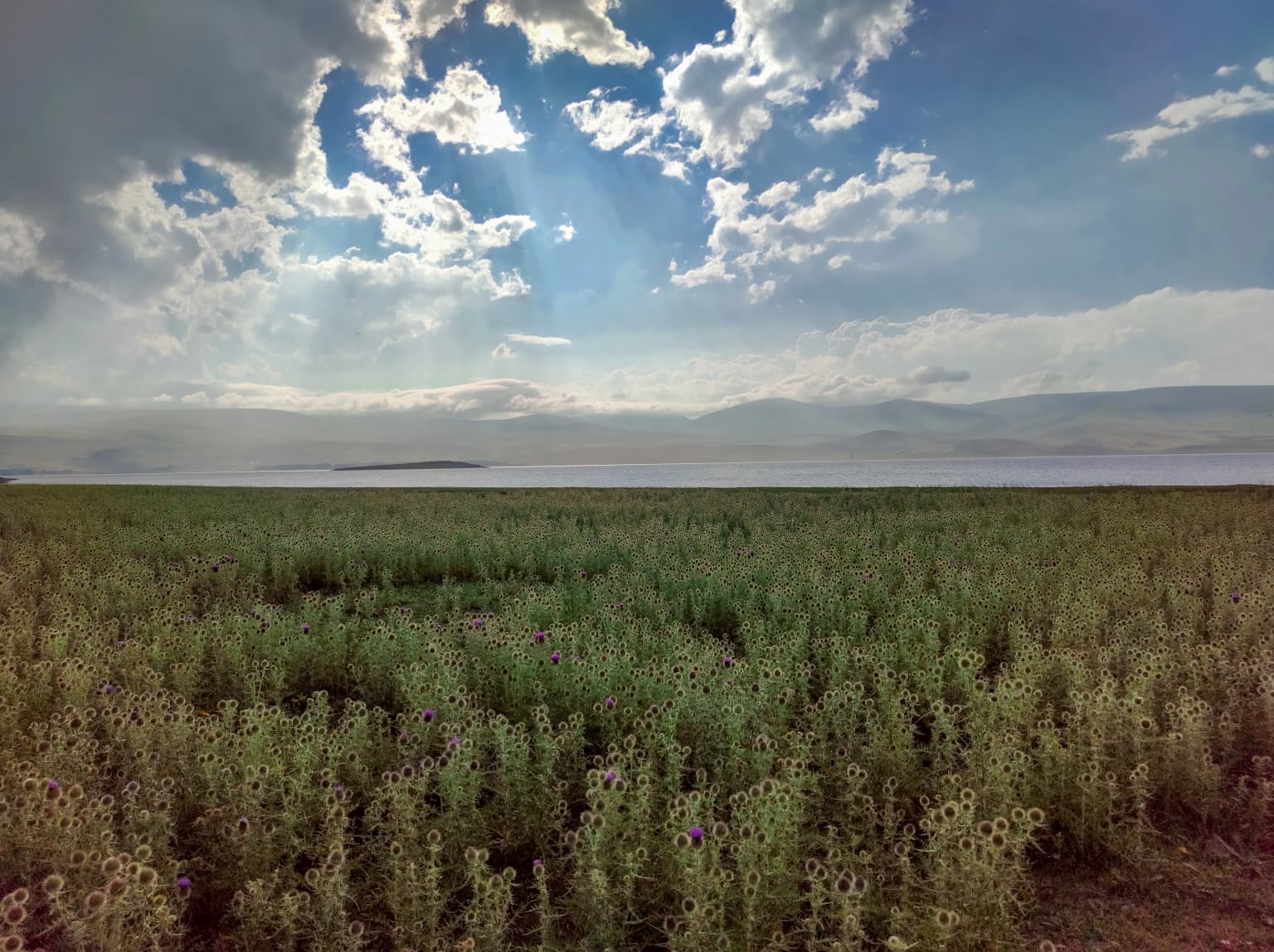 Wide field of wildflowers and grasses stretching to a lake under a partly cloudy sky with sunbeams