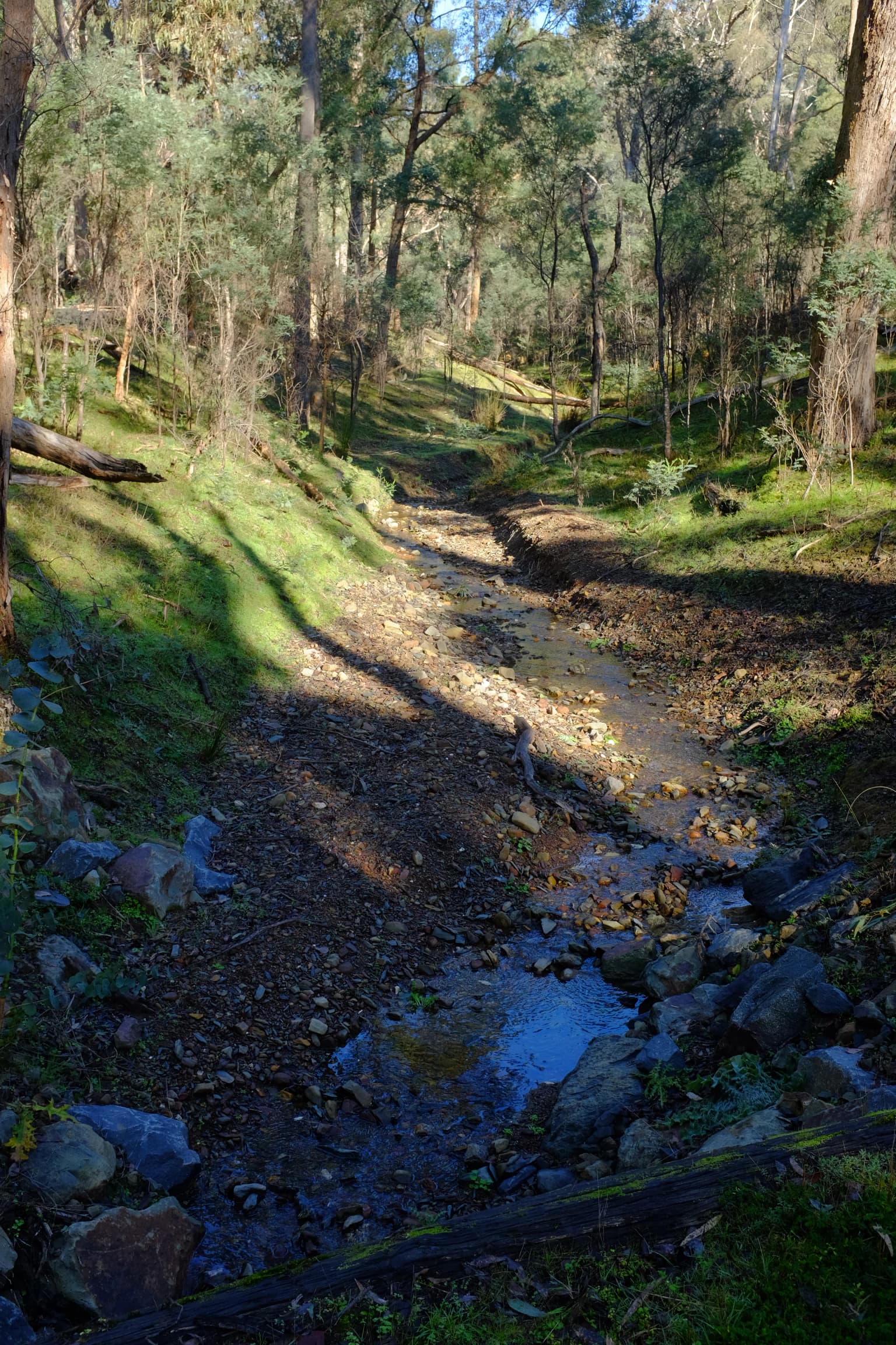Small stream flowing into Station Creek with rocky terrain and surrounding forest