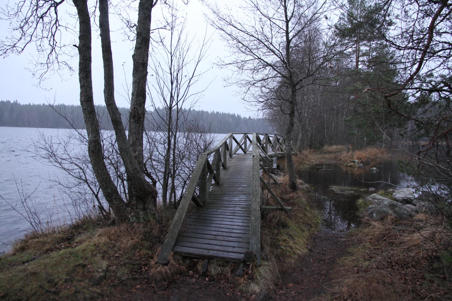 Wooden plank bridge crossing a stream with Liesjärvi Lake in the background and forested shoreline