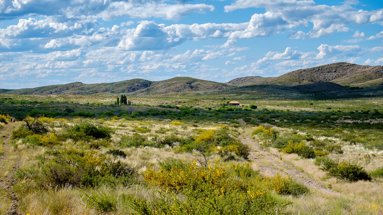 Open grassland with scattered yellow-flowered bushes, a dirt path, distant hills, and a small structure under a blue sky with scattered clouds