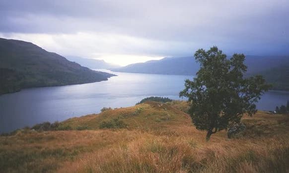 Landscape view of Loch Katrine with rolling hills in the background, a lone tree on a grassy hillside, and overcast sky