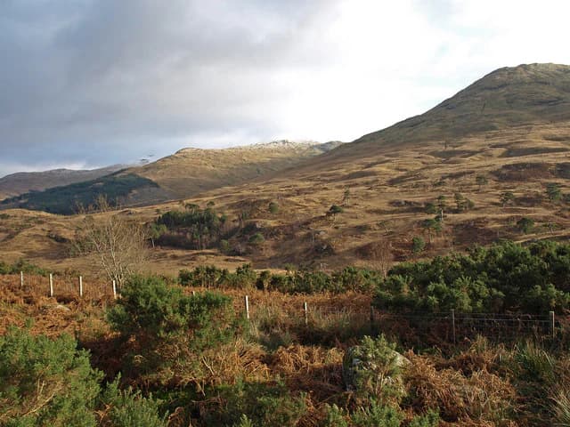 Landscape of Glen Falloch in Loch Lomond and The Trossachs National Park with rolling hills, heather, and scattered Scots Pine trees under a partly cloudy sky.