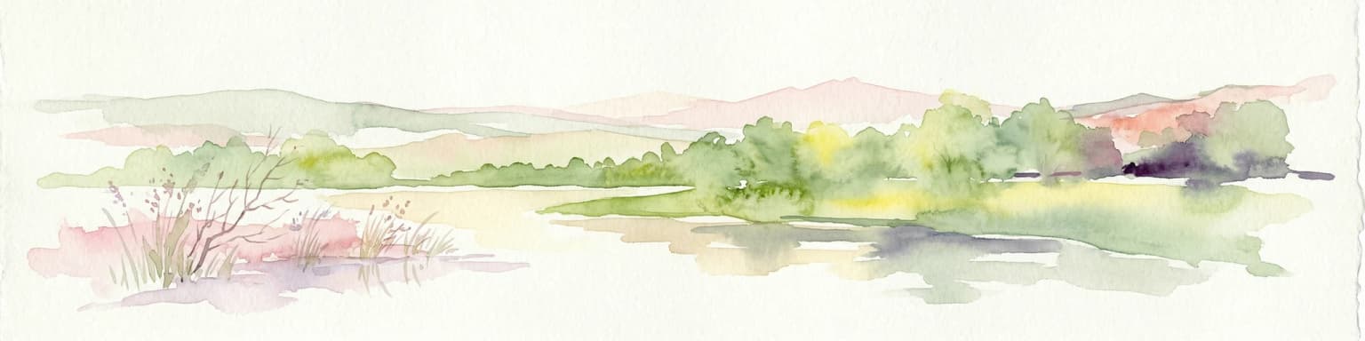 Watercolor illustration of a wetland with river, trees, and distant hills
