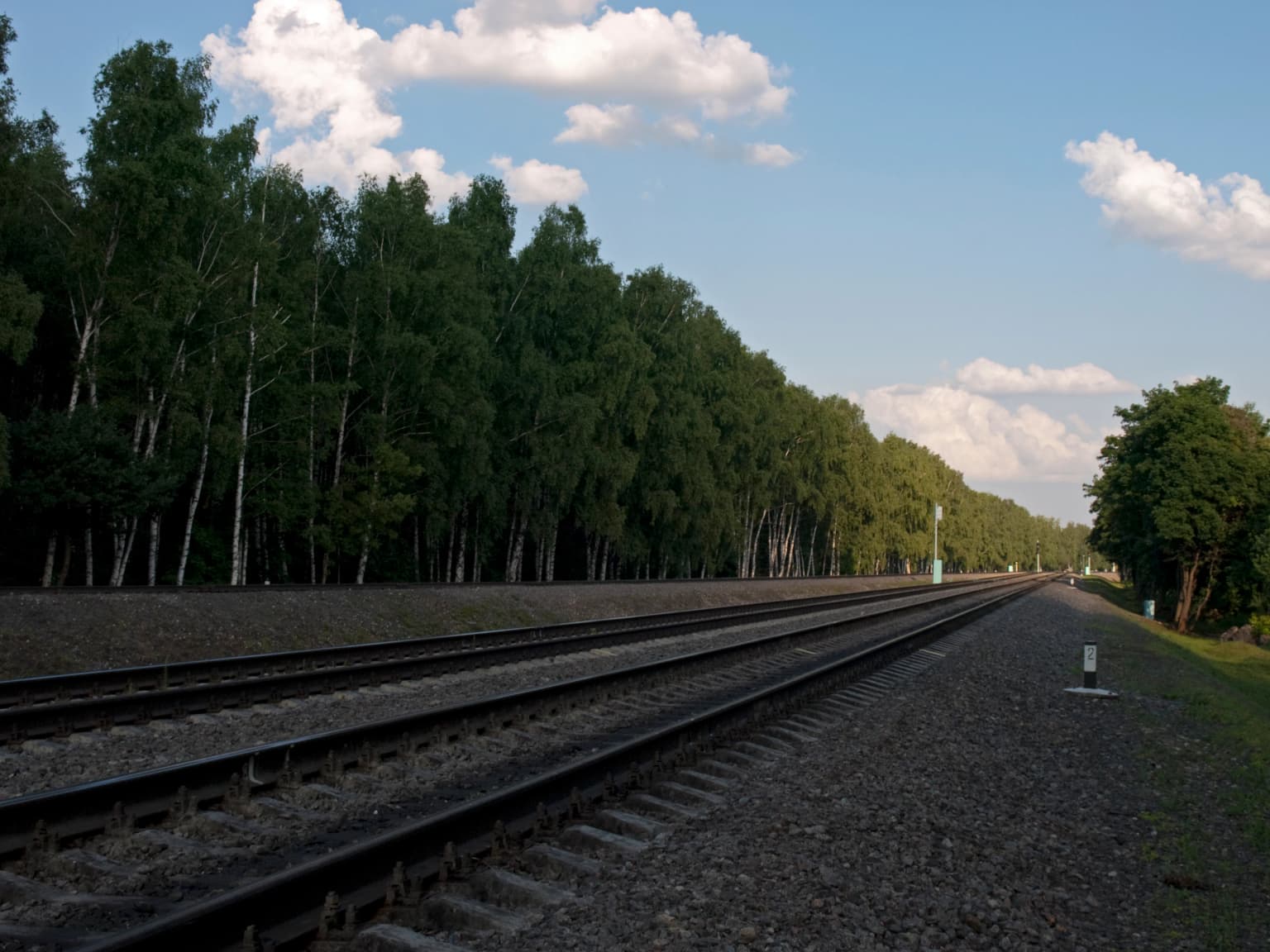 Parallel railway tracks with gravel ballast extending through a dense forest under a partly cloudy sky