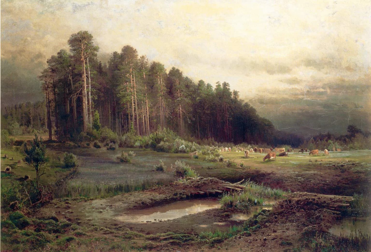 Un paisaje que muestra el borde de un bosque de pinos denso junto a un claro pantanoso con charcos y varios alces pastando en la distancia bajo un cielo nublado.