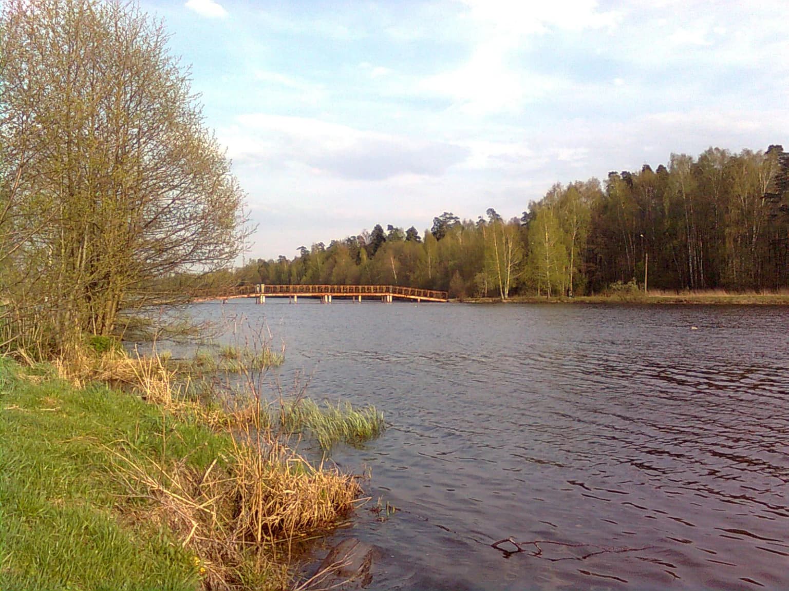 Una vista panorámica de un estanque con una orilla de hierba y juncos en primer plano, que conduce a un puente de madera al fondo bajo un cielo nublado.