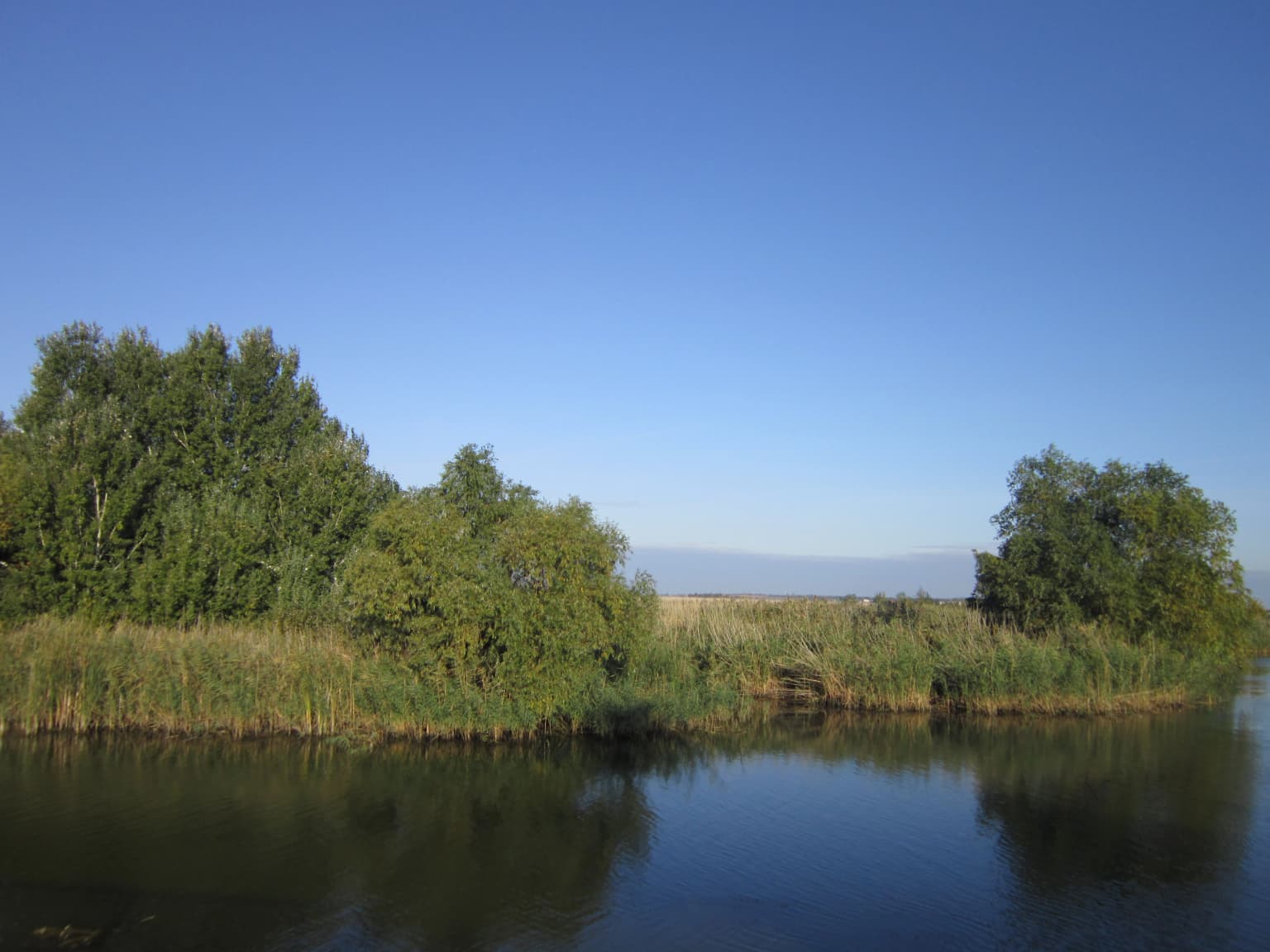 River with calm water reflecting trees and reeds, clear blue sky