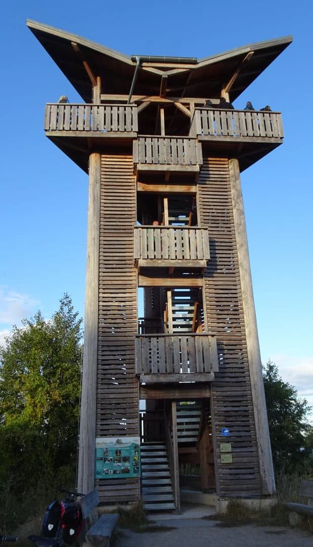 Wooden observation tower with multiple viewing platforms and a staircase, surrounded by trees under a clear blue sky