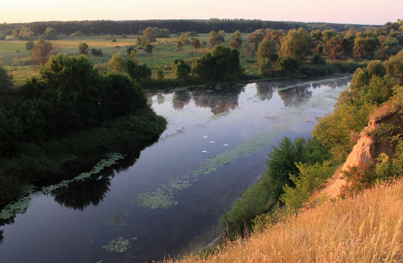 River winding through wetlands with lush vegetation and grassy embankments, reflecting the sky