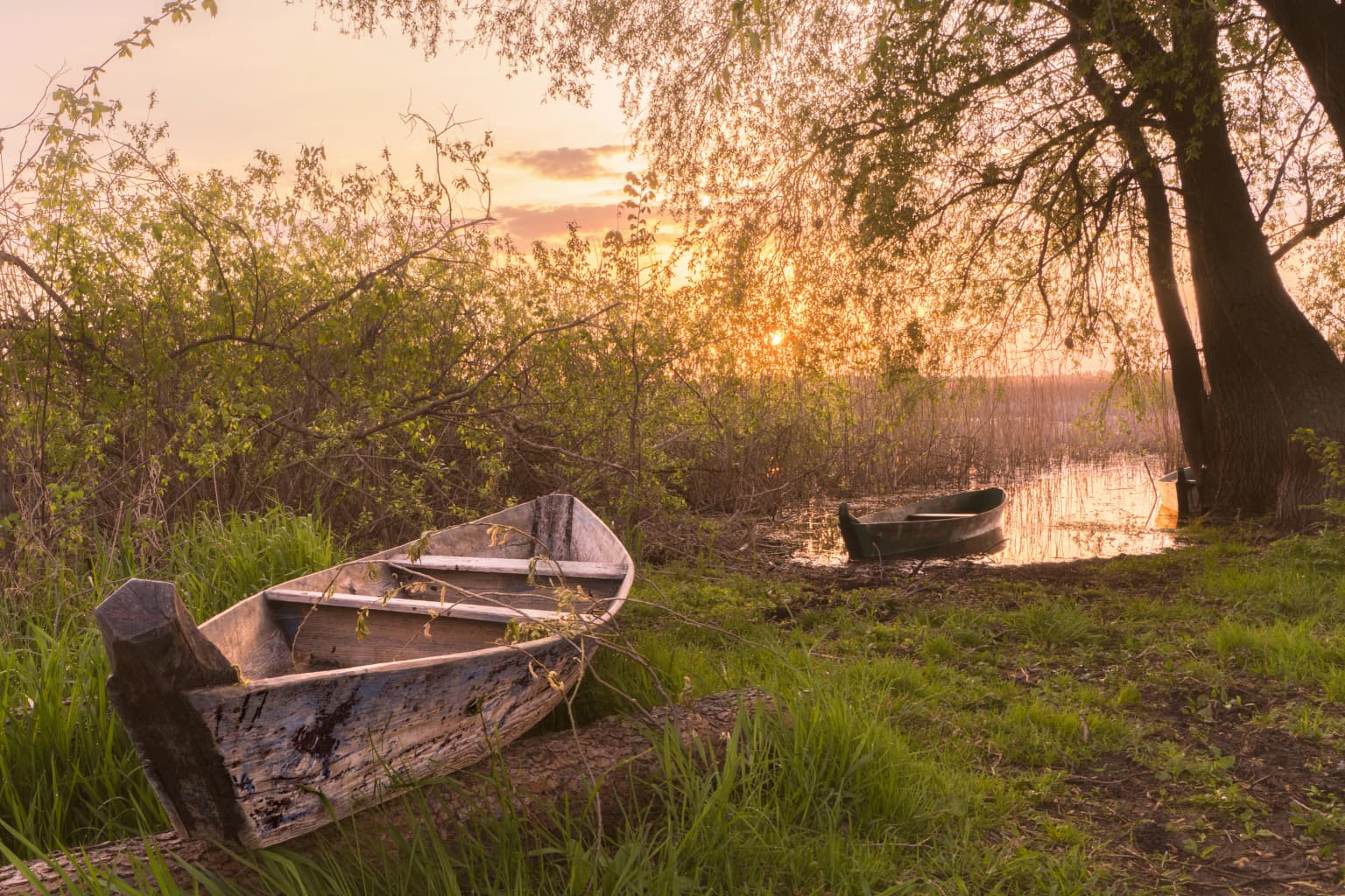 Two weathered wooden boats resting on a grassy riverbank during sunrise, with trees and calm water in the background
