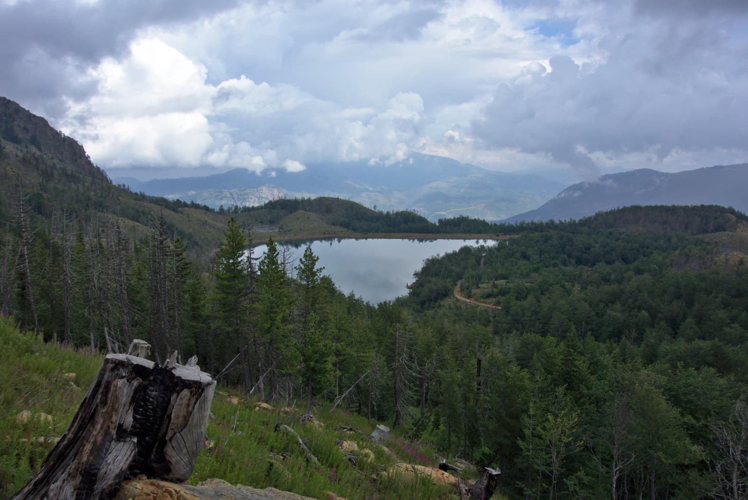 A mountain lake surrounded by forests and hills under a cloudy sky with a tree stump in the foreground