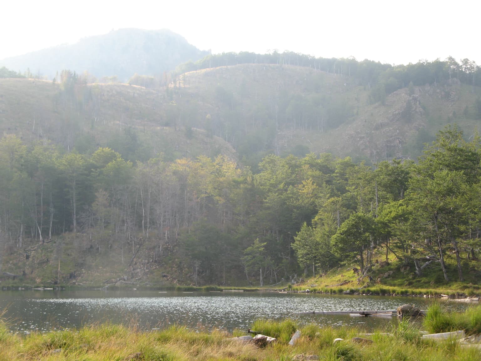 A calm lake surrounded by dense forest with mountainous terrain in the background