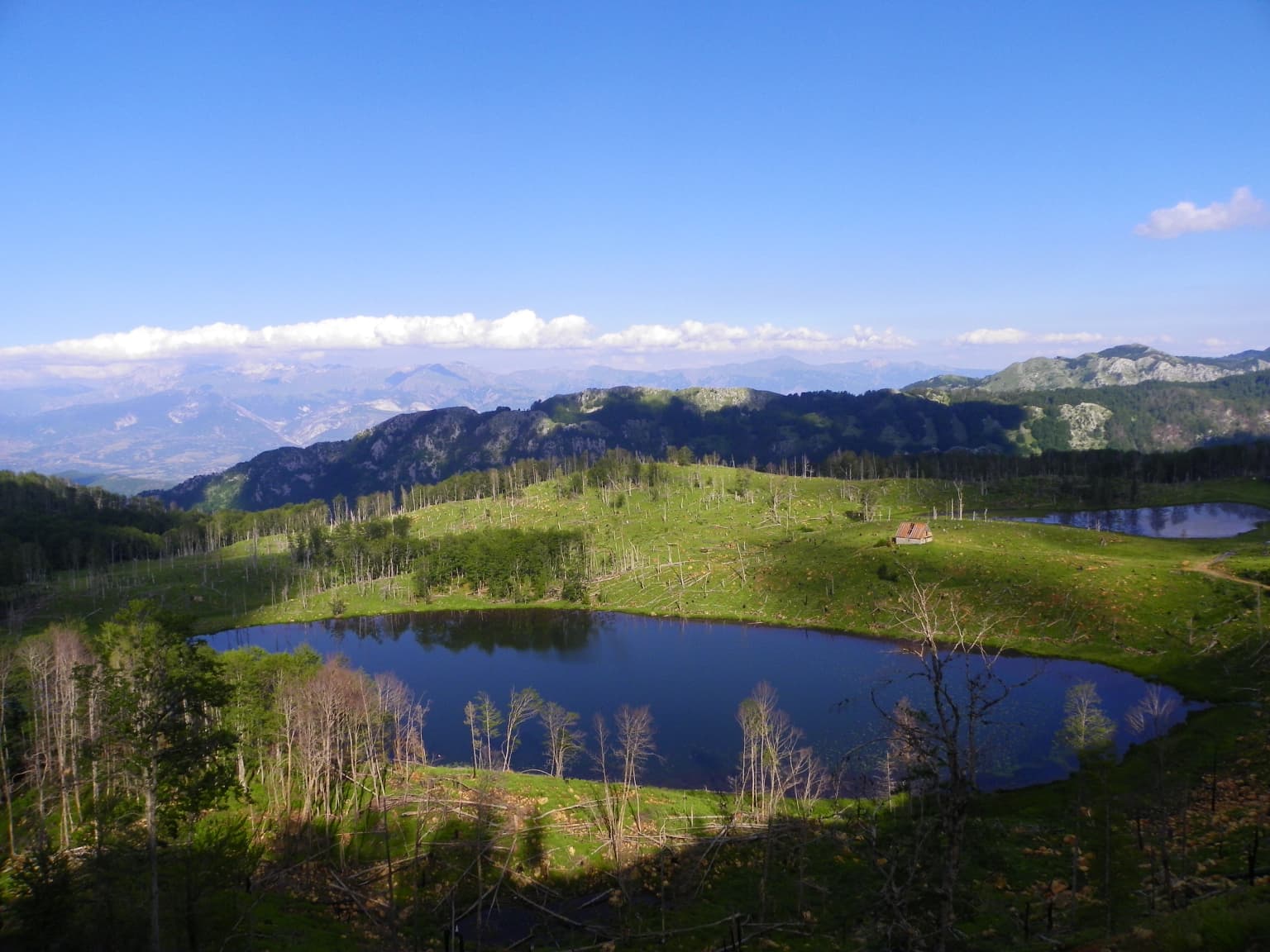 A clear blue lake surrounded by green hills and scattered trees under a bright blue sky with distant mountains
