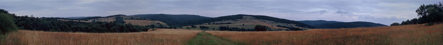 Panoramic view of Ciechania Valley showing golden agricultural fields, a narrow path, and forested hills under a cloudy sky