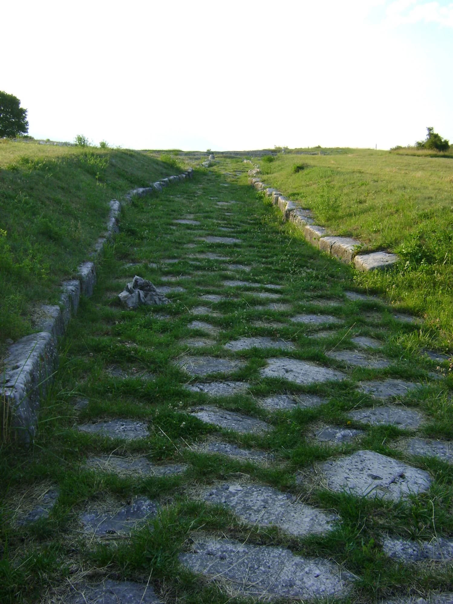 Stone pathway with grass growing between stones, bordered by stone walls, leading through a grassy field