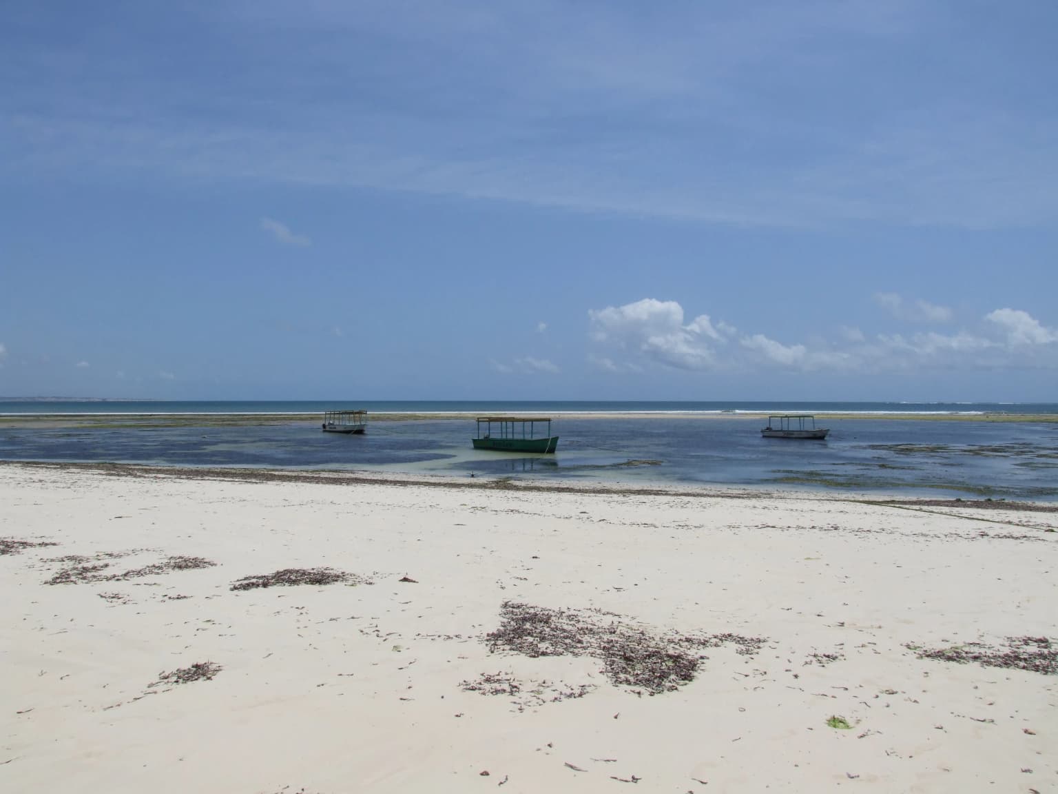 Sandy beach with seaweed patches, calm ocean waters, and three small floating structures under a clear blue sky