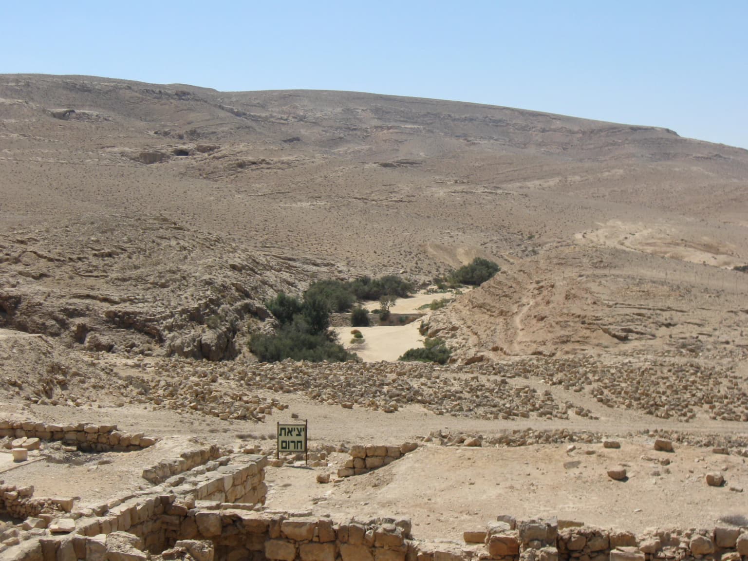 Ruinas de piedra de una ciudad antigua en un paisaje desértico con colinas rocosas al fondo, cielo azul despejado y algo de vegetación en el valle
