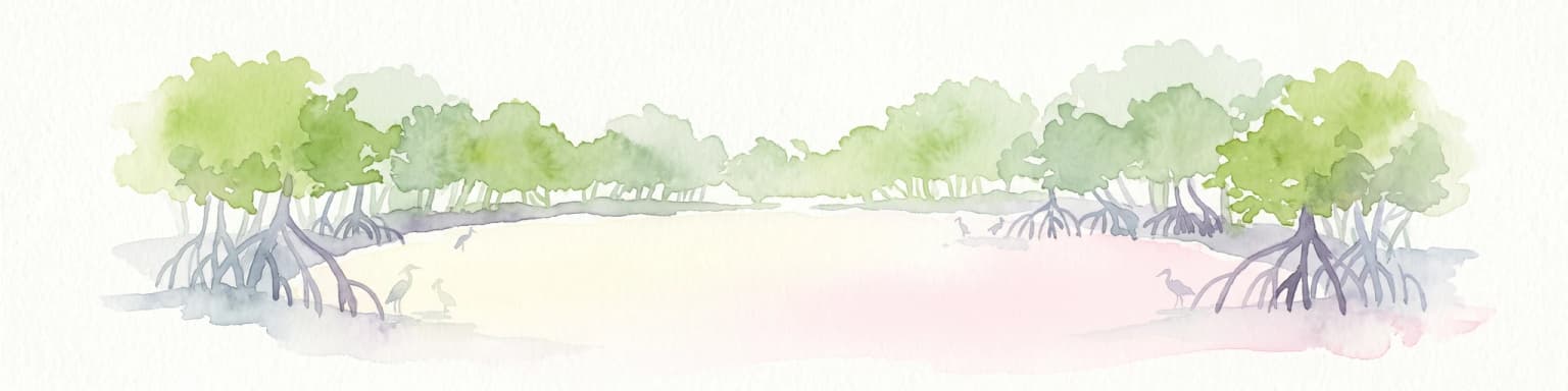 Watercolor painting of mangrove trees with exposed prop roots lining a sandy shore.