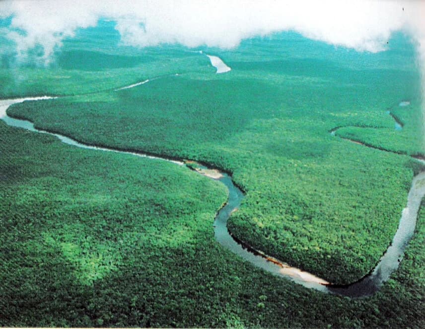 Aerial view of a meandering river flowing through dense green forest with distant mountains partially covered by clouds