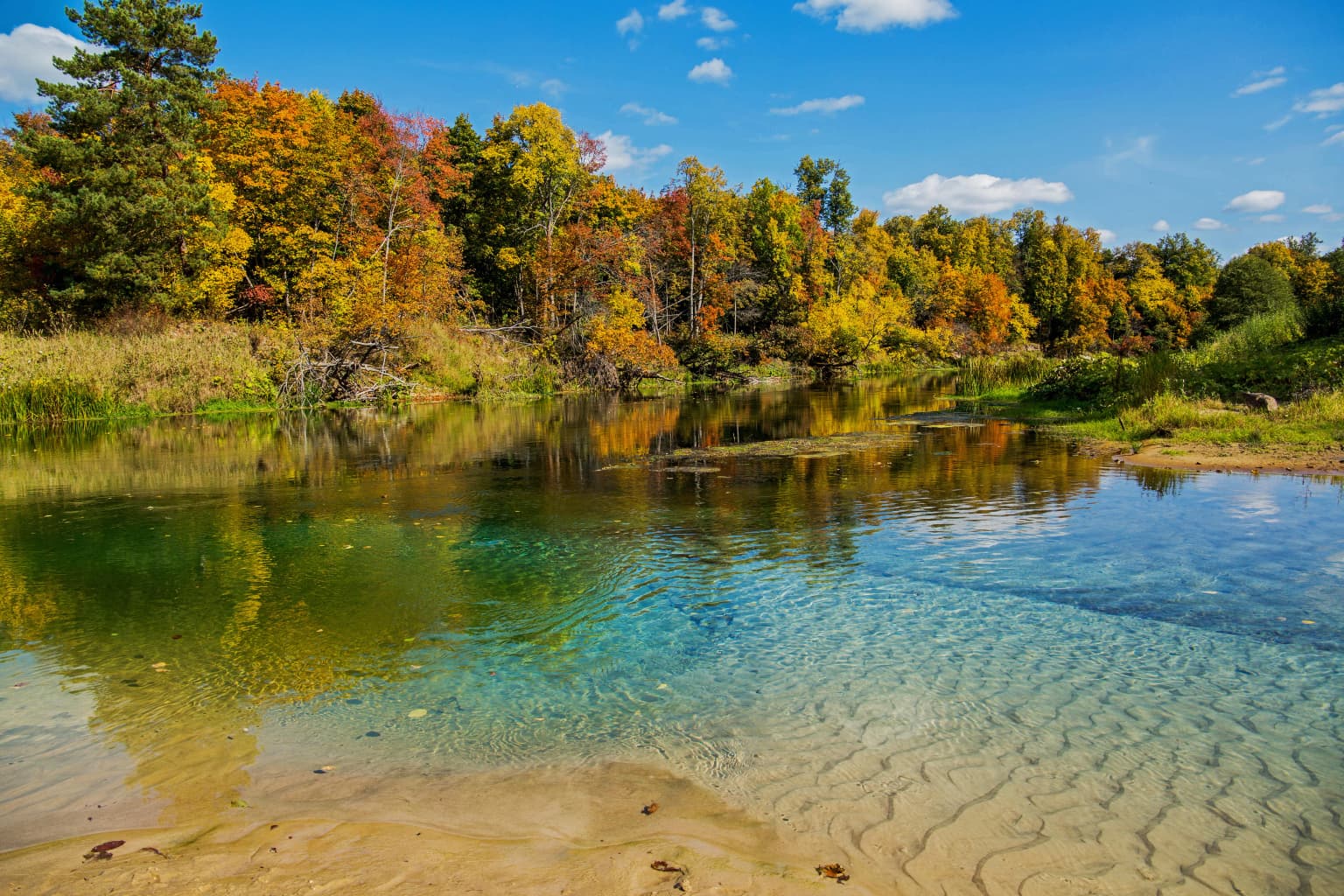 Clear river with sandy bottom reflecting autumn trees under blue sky with scattered clouds