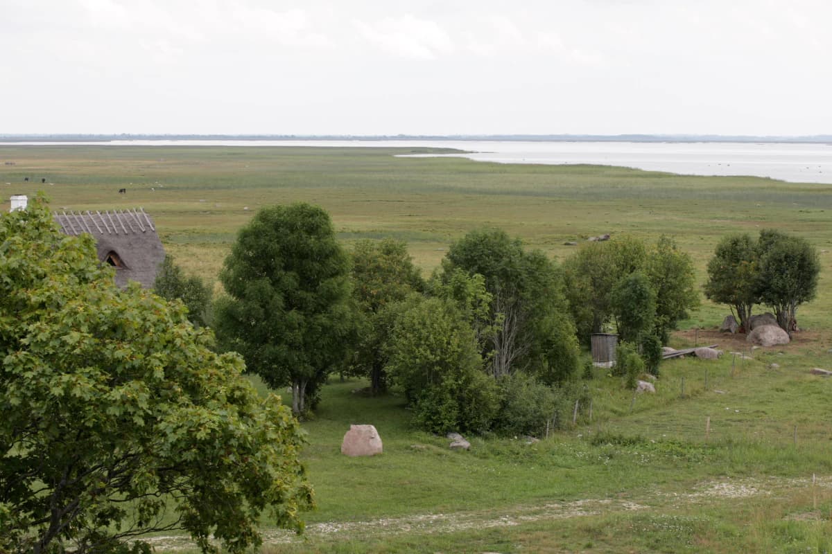 Green fields, scattered trees, a small structure, and distant water under an overcast sky