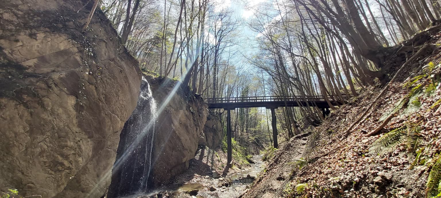 Waterfall cascading down rocky cliff with pedestrian bridge crossing stream, surrounded by forested area