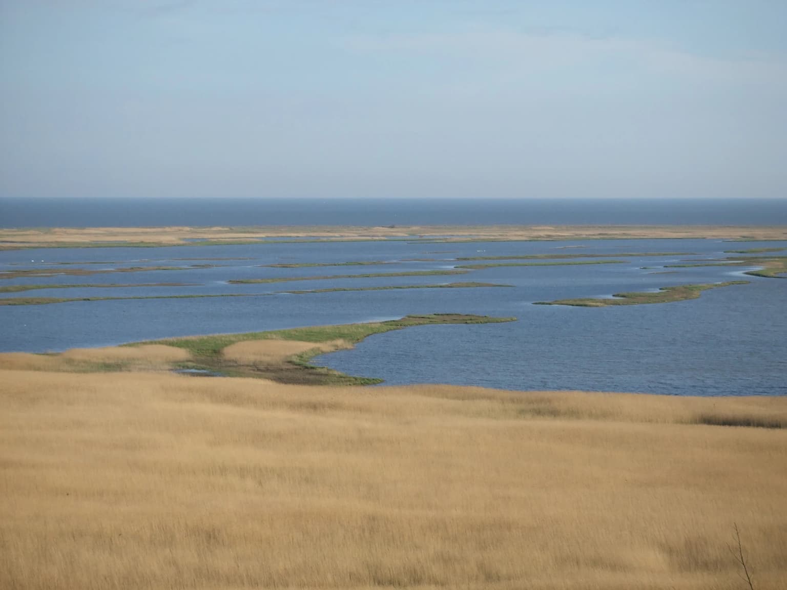 Wide view of Meotyda National Nature Park showing extensive wetlands with water channels, golden grassland in the foreground, and the Sea of Azov on the horizon