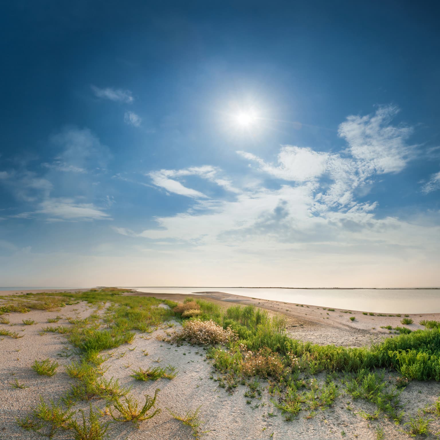 Sandy coastal plain with patches of grass and low vegetation under a bright sun with a clear blue sky and distant sea horizon