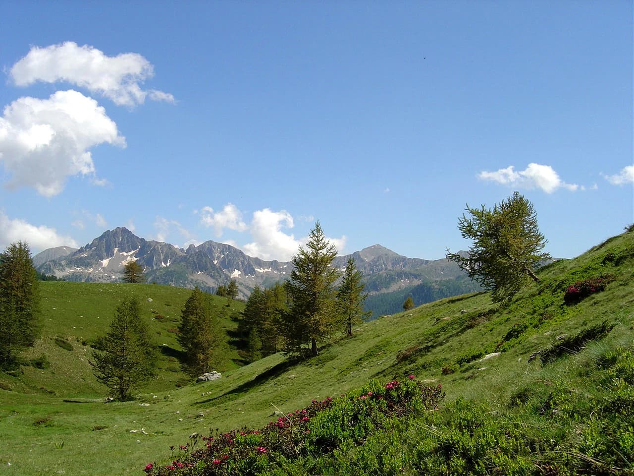 Grassy valley with scattered trees, mountain peaks in the background under a blue sky with clouds.