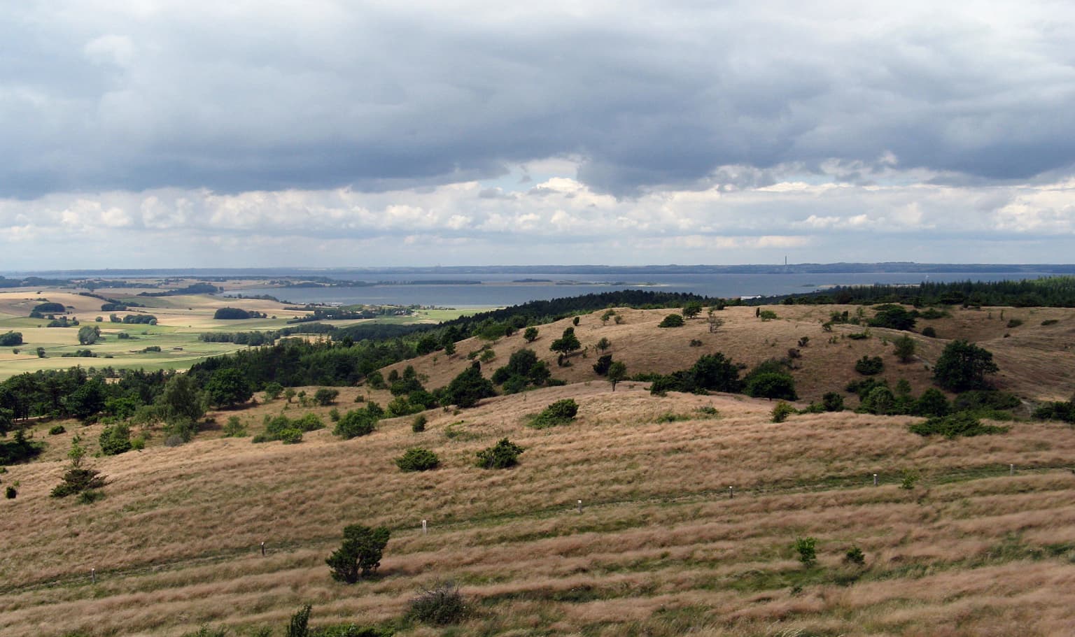 Grassy rolling hills with scattered trees under a cloudy sky, distant water visible on the horizon