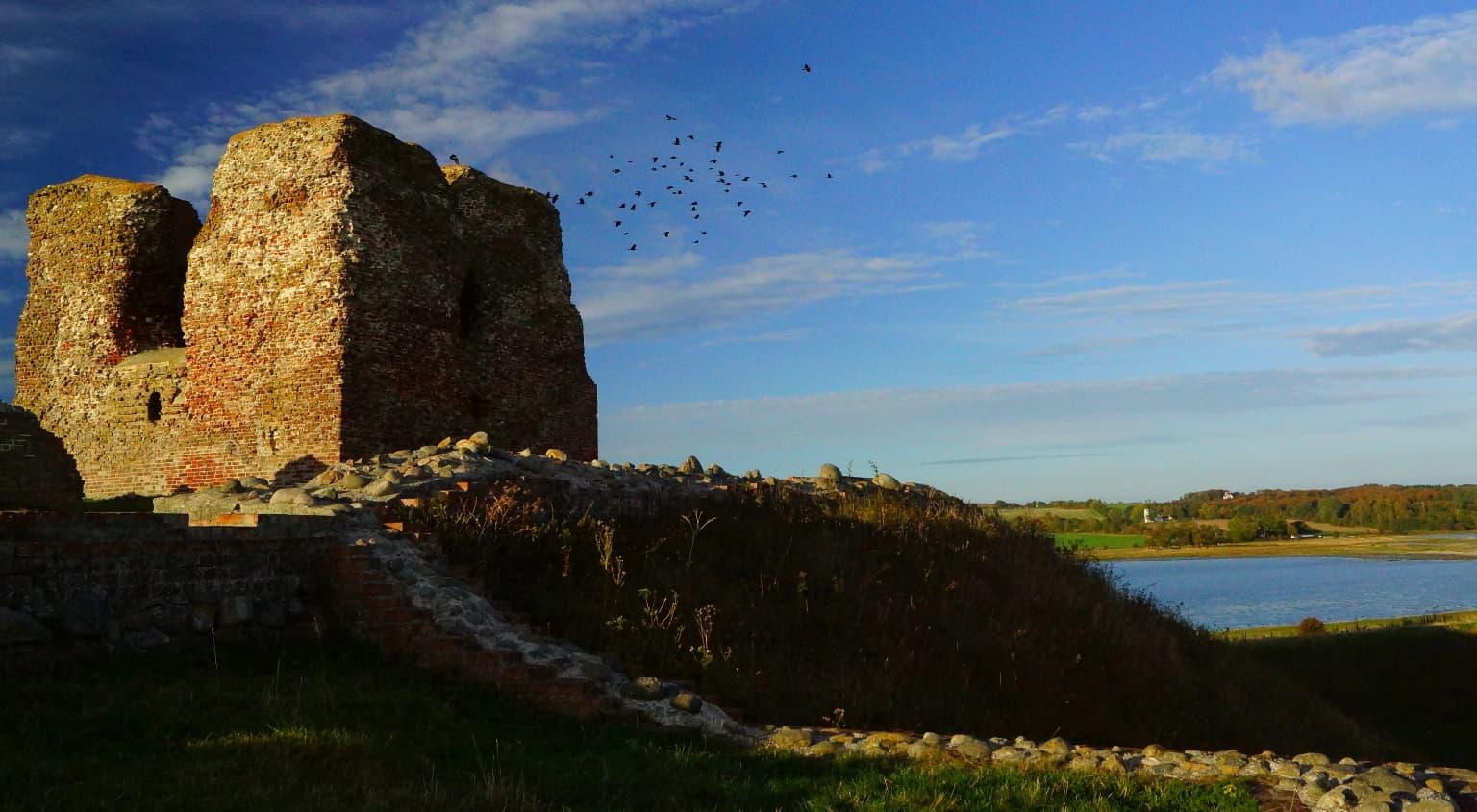 Stone castle ruin on a grassy hill with a flock of birds flying against a blue sky