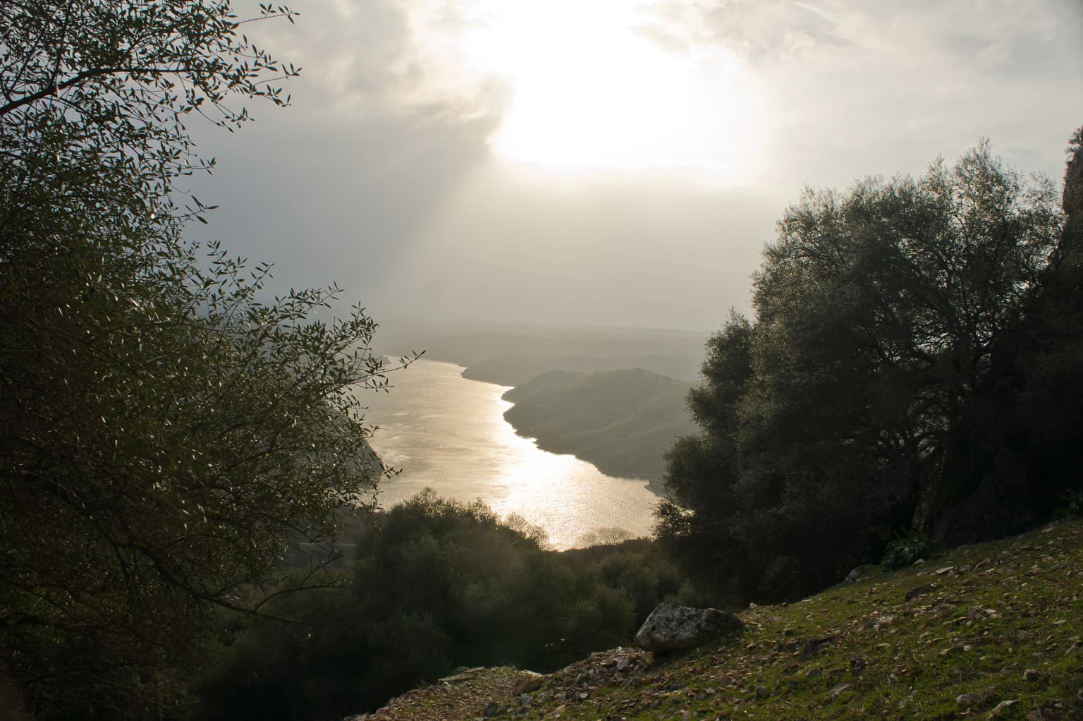 Sunlight reflecting on the Tagus River in Monfragüe National Park, with trees and grassy terrain visible
