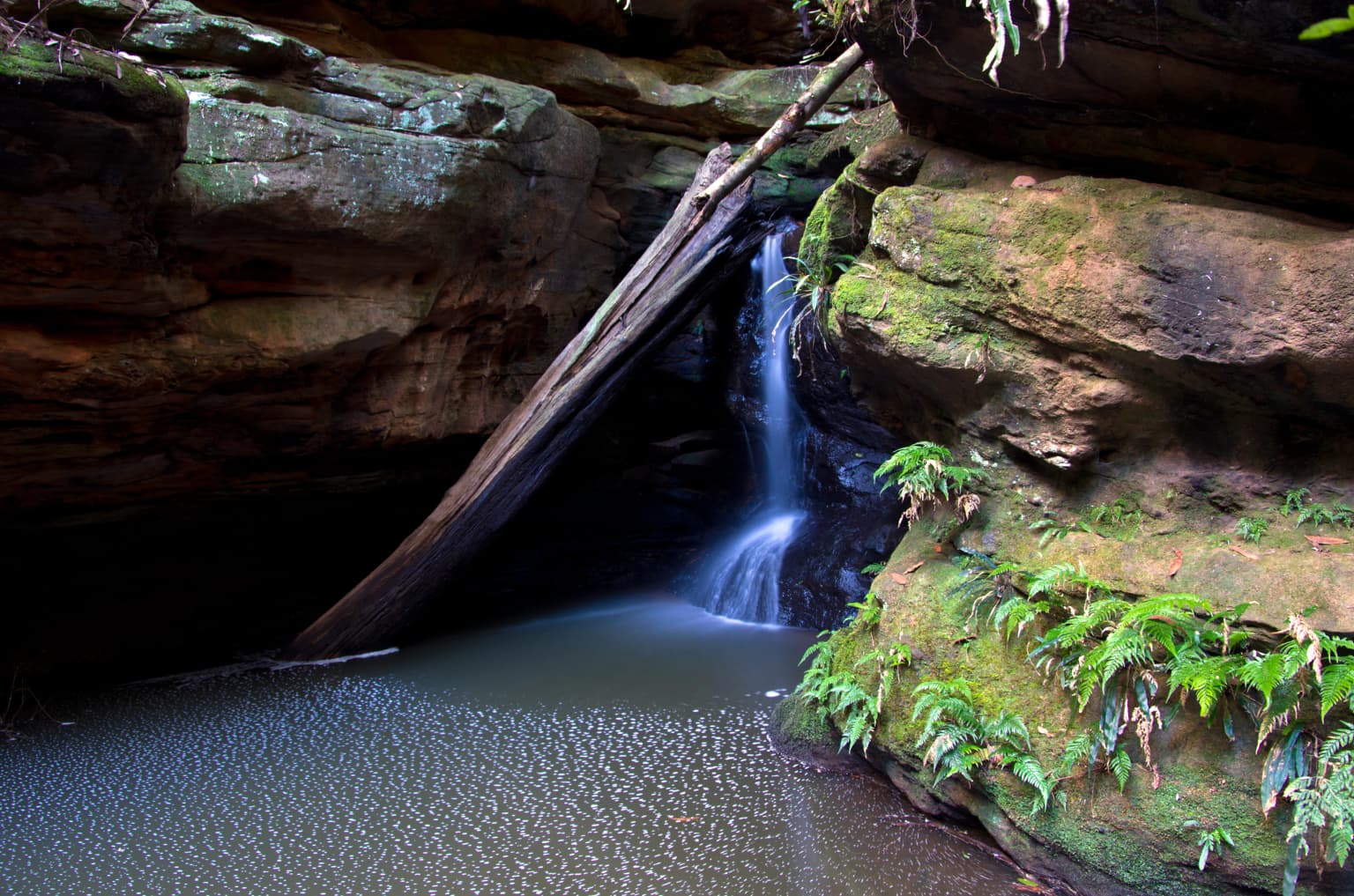 Cascada cayendo sobre acantilados rocosos en una poza tranquila, rodeada de rocas musgosas y helechos verdes