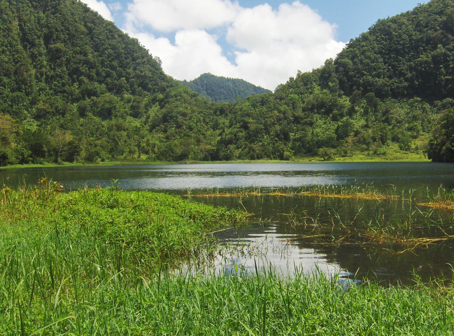 A serene lake reflecting the sky and surrounding lush green mountains, with tall grass in the foreground