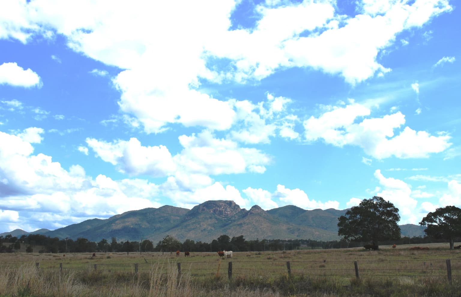 Campo abierto con postes de madera, árboles dispersos y montañas al fondo bajo cielo azul con nubes blancas.