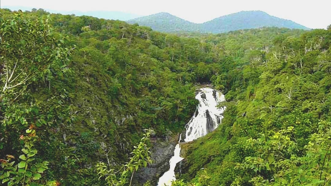 Moyar Falls, Mudumalai National Park